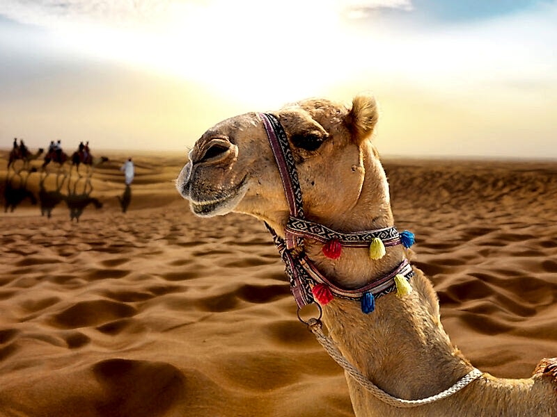 Dubai Serüveni Fly Dubai Hava Yolları ile 4 Gece 2026 Dönemi