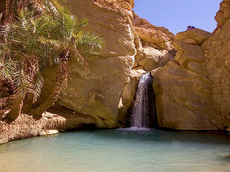 Görkemli Tunus ve Antik Kentler 3 Gece THY ile (2026 İlkbahar Dönemi) Tüm Turlar ve Akşam Yemekleri Dahil! AT145