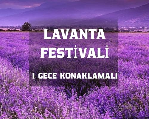 Lavanta Festivali Salda Gölü Pamukkale Turu 1 Gece Konaklama