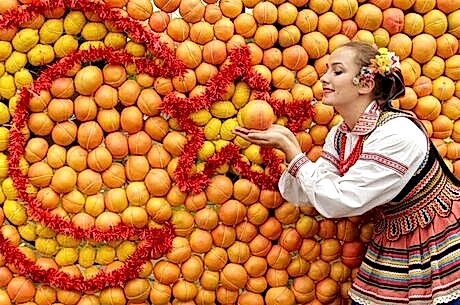  Adana Portakal Çiçeği Festivali Turu