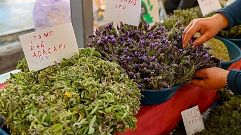 İzmir Alaçatı Ot Festivali   Turu / 1 Gece 2 Gün / İstanbul Kalkışlı