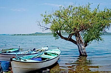 Bursa Cumalıkızık Gölyazı Mudanya Trilye Turu / Günübirlik / İstanbul Kalkışlı