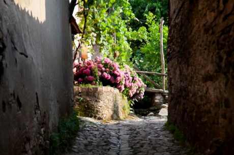 Bursa Cumalıkızık Gölyazı Mudanya Trilye Turu / Günübirlik / İstanbul Kalkışlı