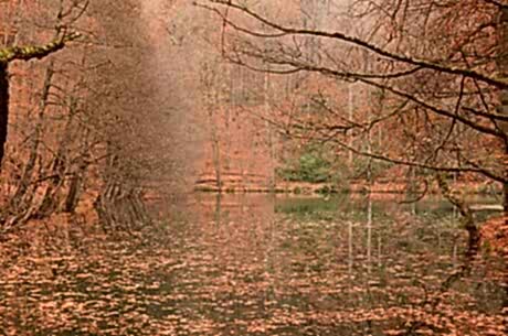 Yedigöller Turu / Günübirlik / İstanbul Kalkışlı