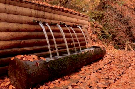 Yedigöller Turu / Günübirlik / İstanbul Kalkışlı