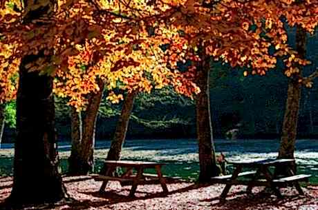 Yedigöller Turu / Günübirlik / İstanbul Kalkışlı