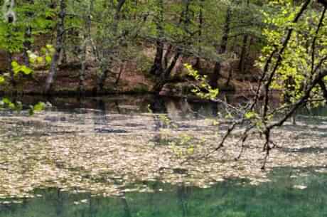 Yedigöller Turu / Günübirlik / İstanbul Kalkışlı