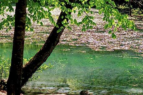 Yedigöller Turu / Günübirlik / İstanbul Kalkışlı