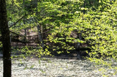 Yedigöller Turu / Günübirlik / İstanbul Kalkışlı